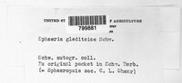 Sphaeria gleditschiae image